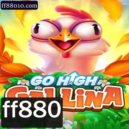 Descubra o Fascinante Mundo de GoHighGallina e Suas Regras Únicas